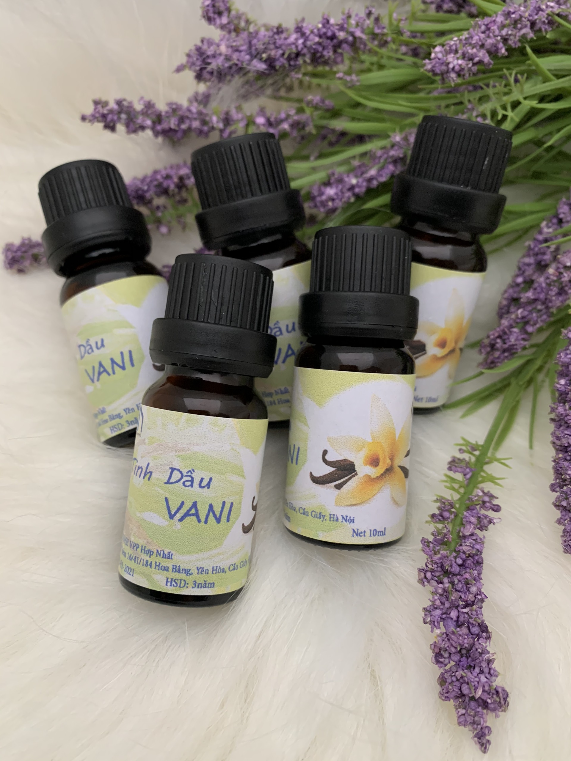 Tinh Dầu Thơm Xông Phòng Hương Vani Lọ 10ml