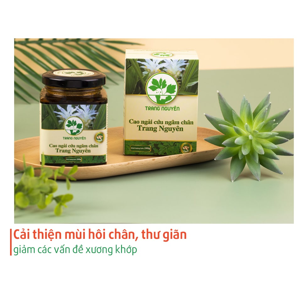 Cao Ngải Cứu ngâm chân Trang Nguyên