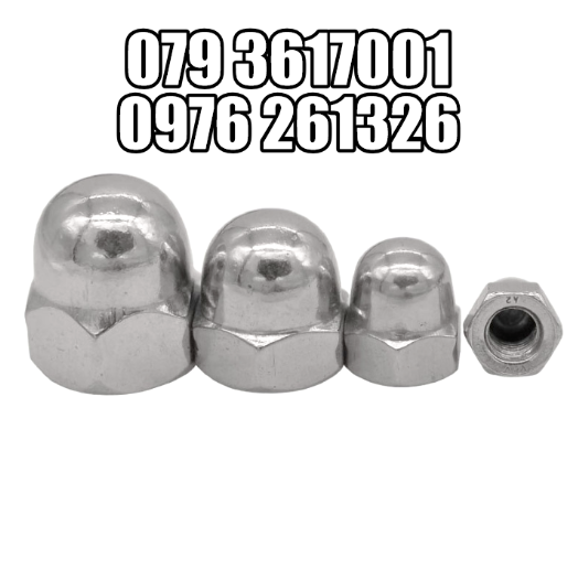 TÁN BẦU, TÁN MŨ, ECU BẦU, ĐAI ỐC MŨ-INOX _BỊCH 20 CON