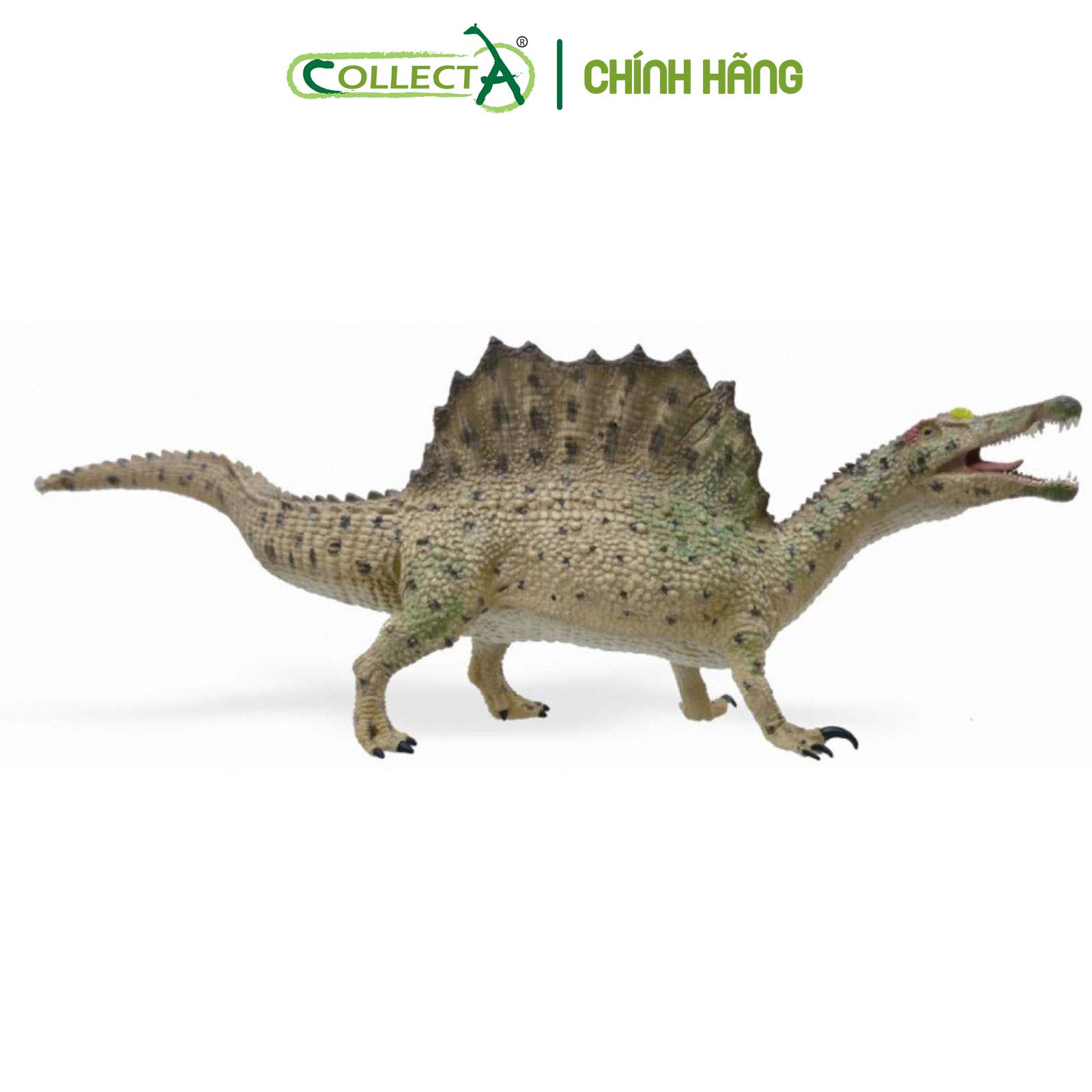Đồ chơi mô hình động vật CollectA Khủng Long Spinosaurus