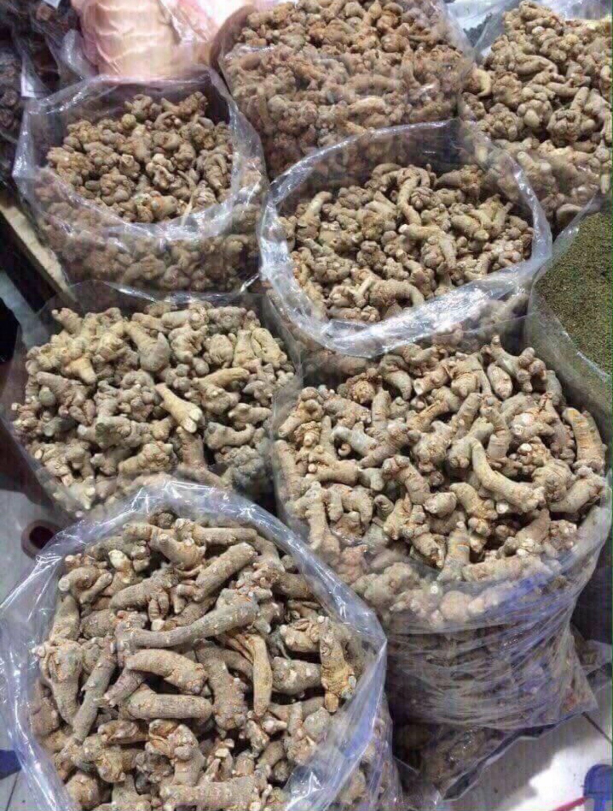 Tam thất bắc khô 1kg