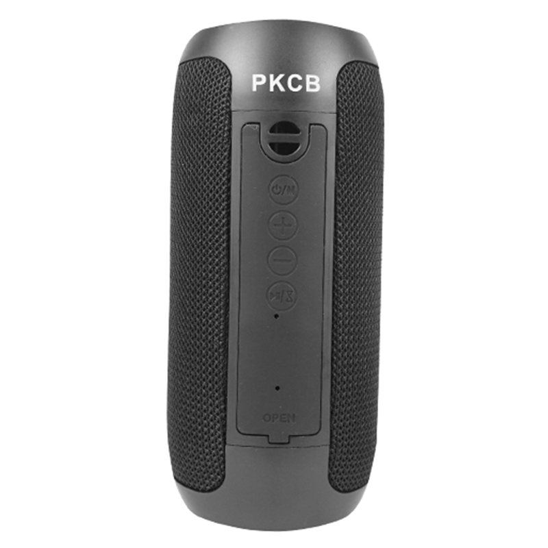 Loa Bluetooth Không Dây cầm tay PKCB250  Hàng Chính Hãng