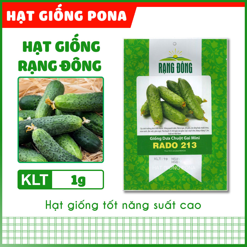 Hạt giống dưa chuột gai mini rado 213 - hạt giống rạng đông