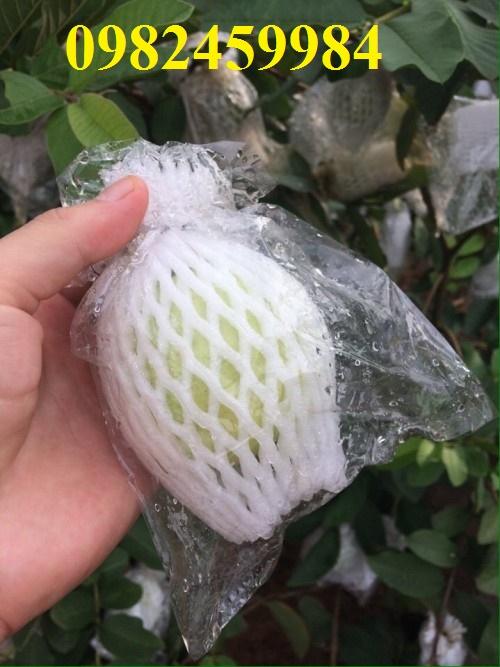 Túi mút xốp bao trái cây Ổi ( 1KG~320-350 túi)