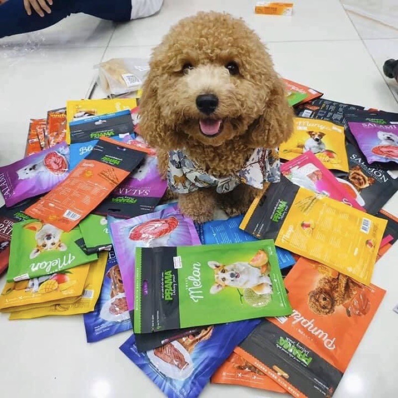 [HCM]Snack Prama từ thịt và trái cây cho chó - Made in Thailand