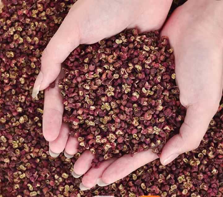 Hạt tiêu tứ Xuyên, Hạt xuyên tiêu, Hạt Xuyên tiêu Đỏ 100gr