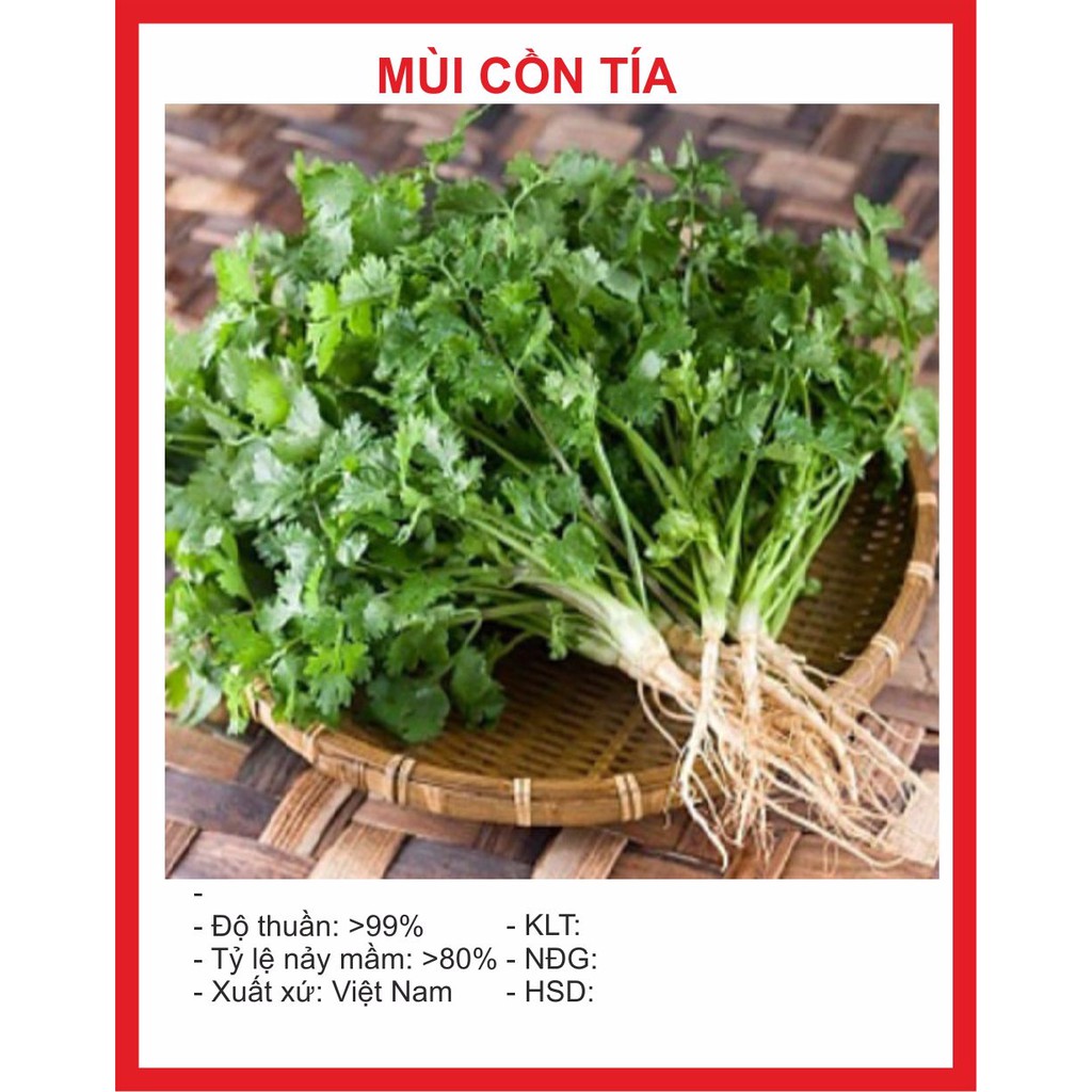 MJ43B Hạt Giống Mùi Cồn Tía 2gr khoảng 100 hạt