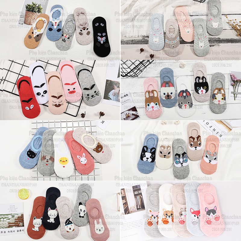 Combo 5 vớ lười tai thú size nữ 70k