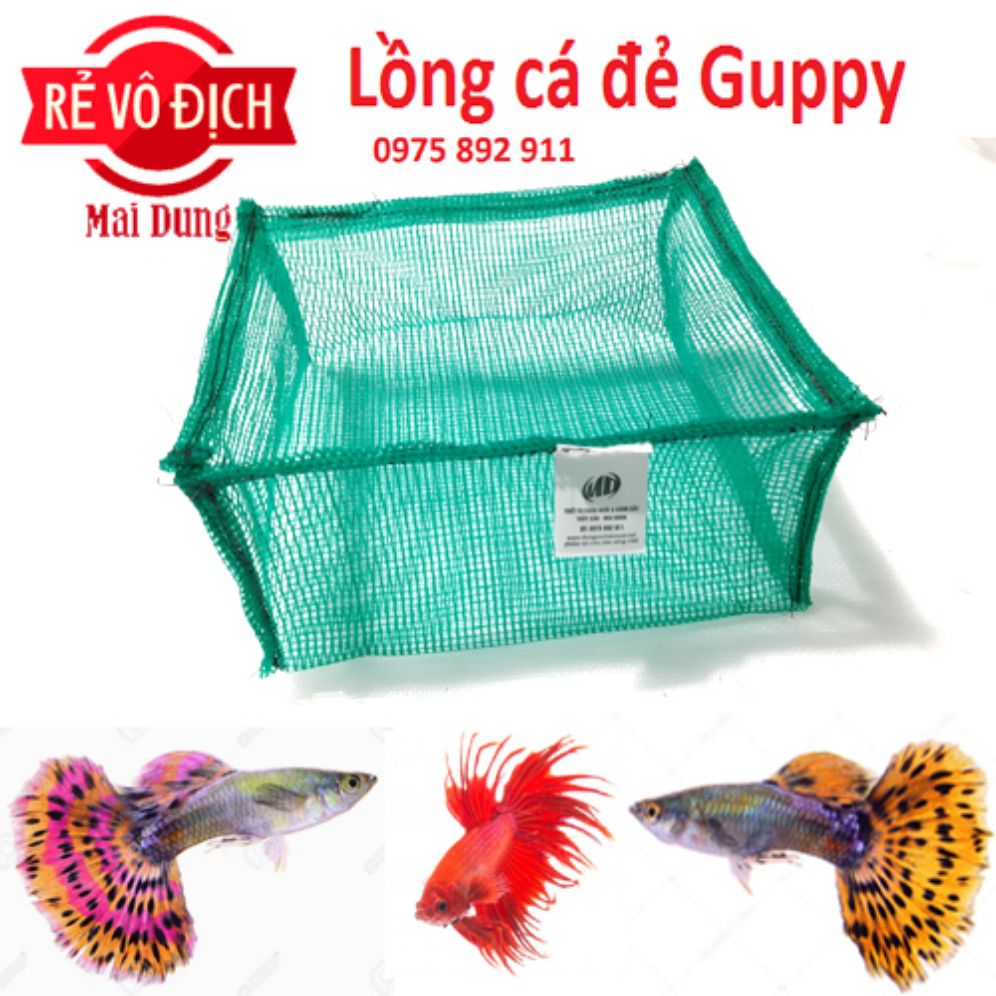 lồng cho cá cảnh đẻ - lưới thái lan