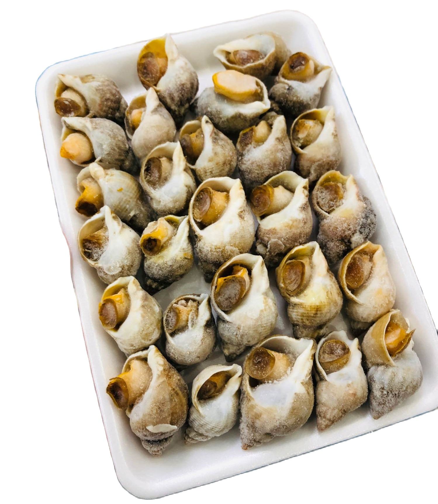 [GIAO NHANH 2H HCM] Giá Sỉ 1KG Ốc bulot Sofrimar size 50-70  - Hải Sản Kỳ Hà