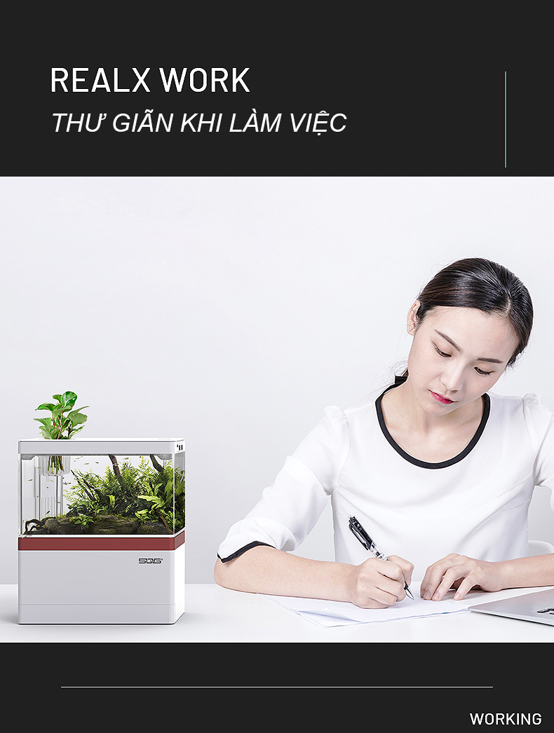 Bể cá mini để bàn Bể cá thủy sinh mini 05