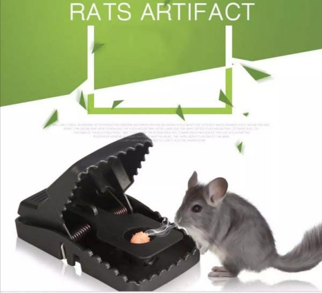 Bẫy chuột kẹp nhựa siêu nhạy. Bẫy chuột thông minh siêu nhạy.