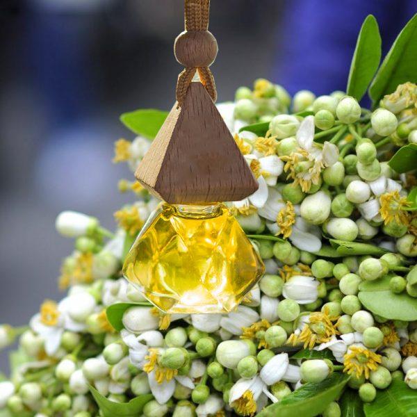 Tinh dầu cao cấp treo xe ô tô Hương Bưởi