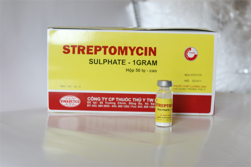 Thuốc thú y tw1 streptomycin
