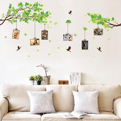 Decal dán tường Cây xanh có khung ảnh trang trí
