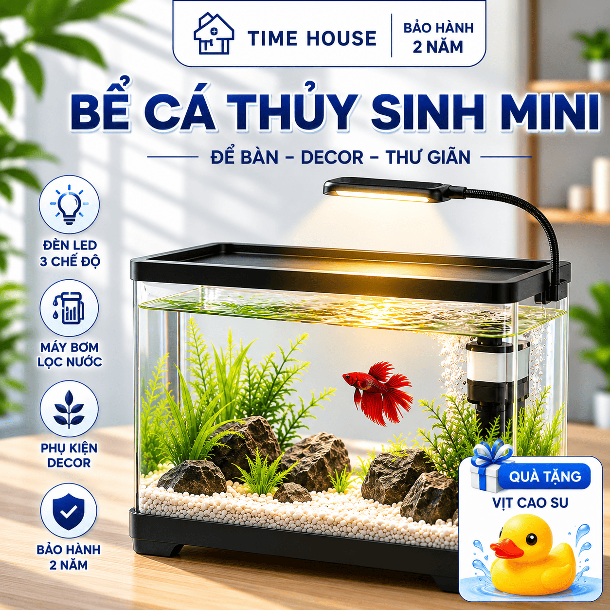 Bể Cá Thủy Sinh Mini Để Bàn - Combo Bể Cá Bể Nhựa ARYLIC  Cao Cấp Trọn Bộ Đèn Lọc