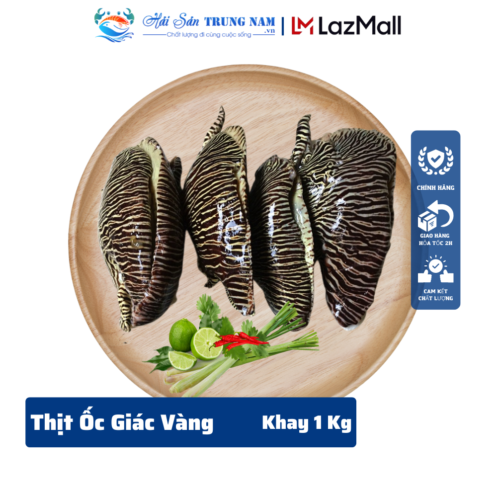 Thịt Ốc Giác Vàng Tươi- Cấp Đông Túi 1Kg
