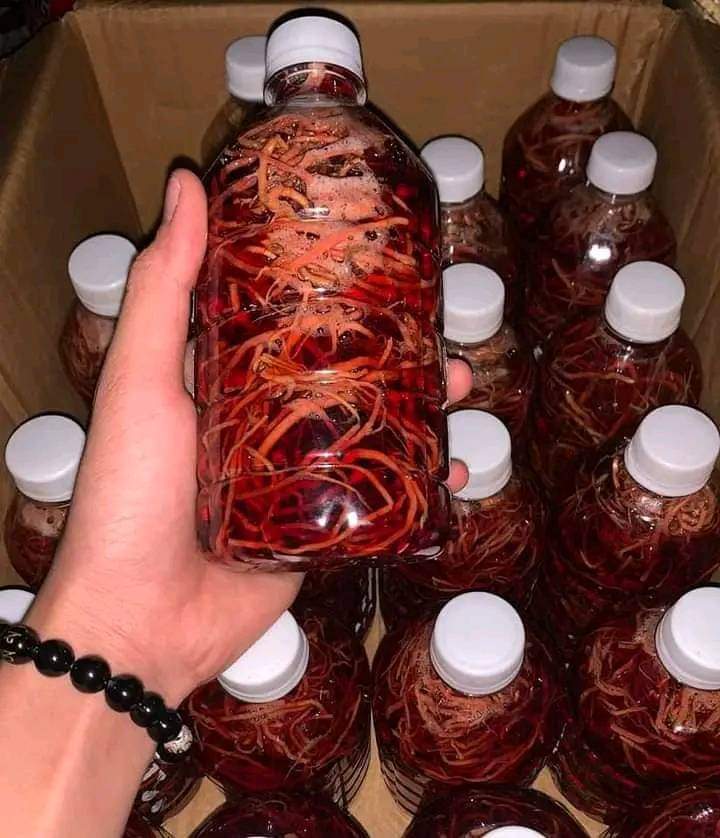 Chai ngâm rễ bạch hạc xóa mốc lác cho gà rễ bạch hạc bao chuẩn già sạch đẹp mùa này ngâm rể là chuẩn nhất ạ. xóa mốc lác, an toàn, hiệu quả nhanh sau 7 ngày sử dụng, đỏ đẹp da om bóp cho da gà luôn đỏ đẹp