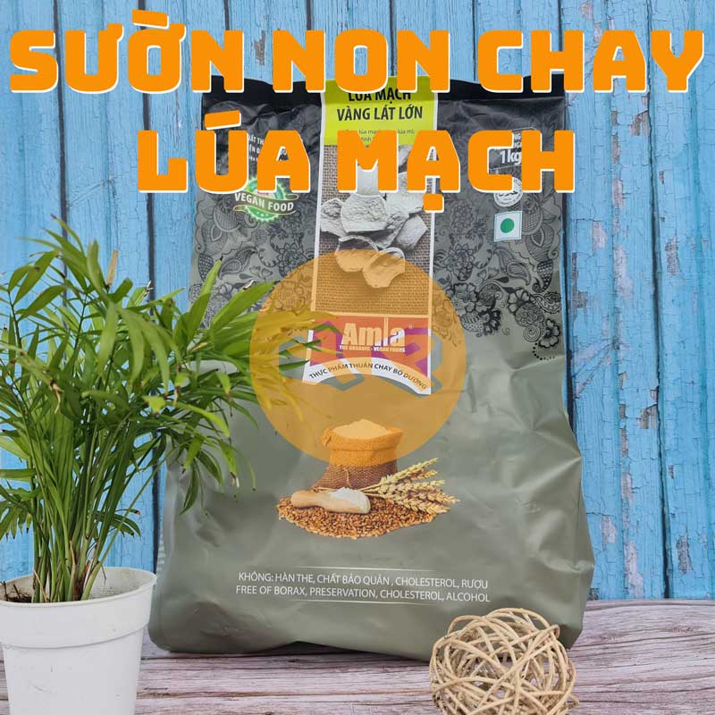 Sườn non chay đạm lúa mạch Amla gói 1 Kg - Công nghệ của ĐỨC