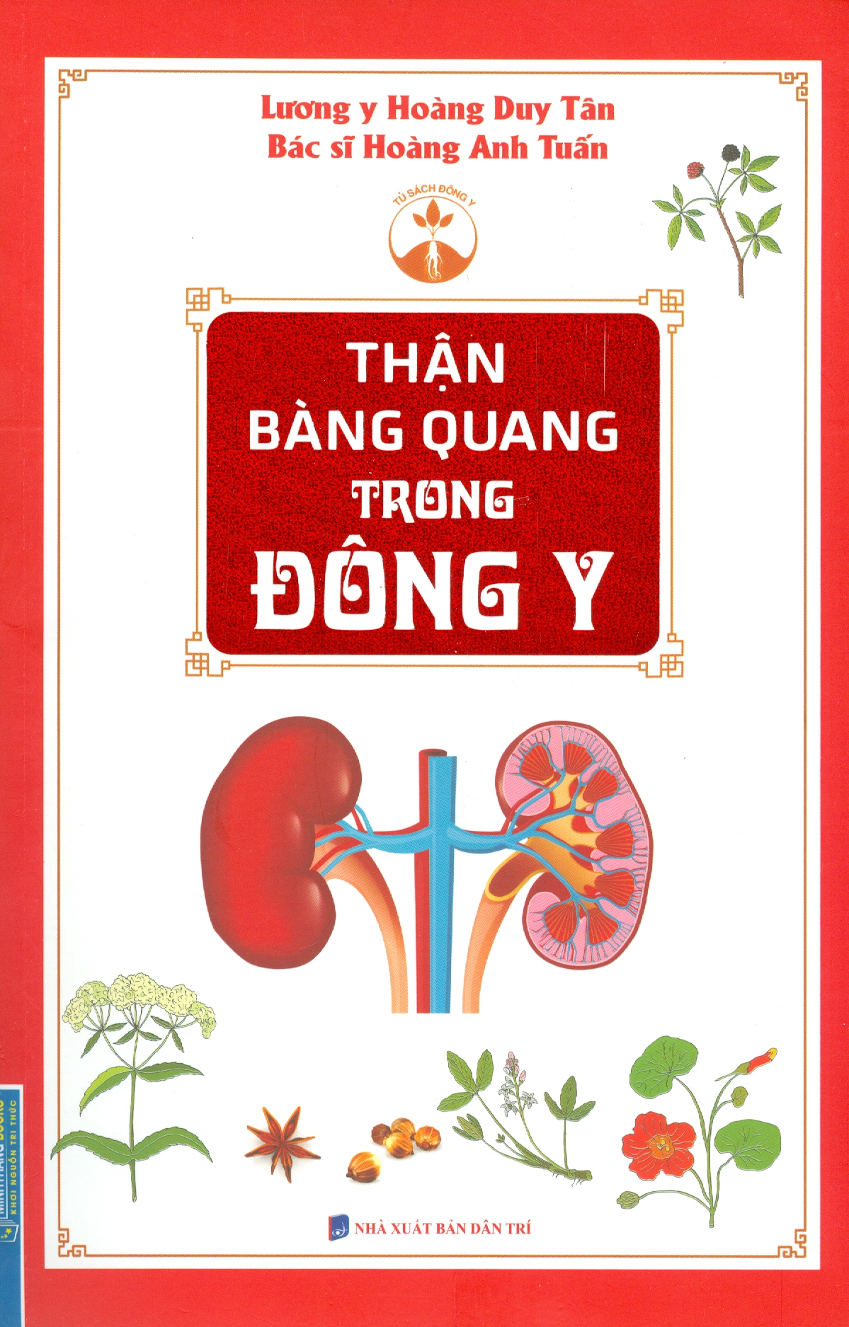 Thận Bàng Quang Trong Đông Y