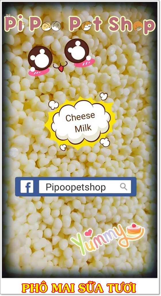 Phô mai cho Hamster