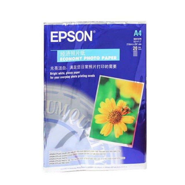 Giấy in ảnh hoa cúc 1 mặt epson 210gsm