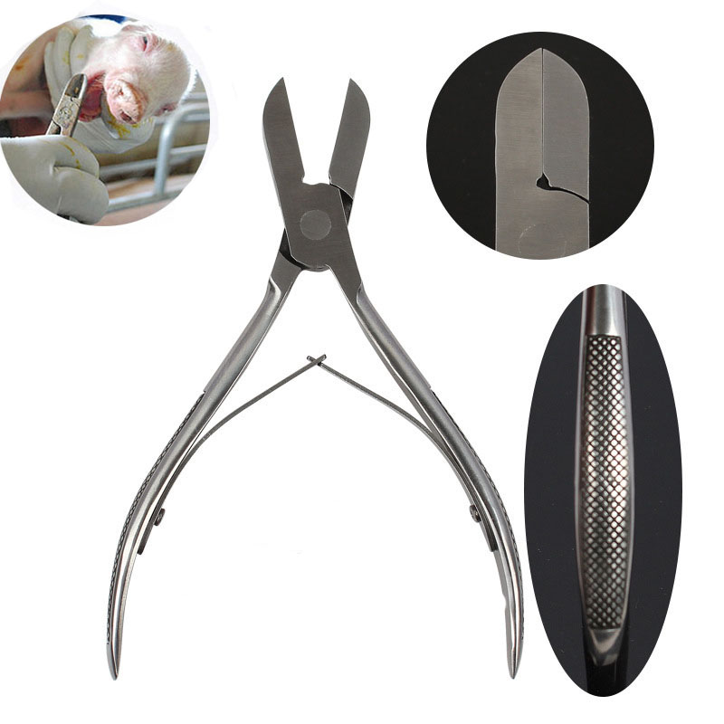 Kìm bấm nanh heo, kìm bấm răng lợn và thú cưng, dài 14cm chất thép không rỉ