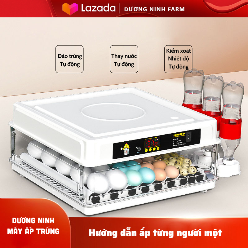 Máy ấp trứng gà tự động, máy ấp trứng tự đảo, ấp trứng thông minh 220V - 12v hiện đại