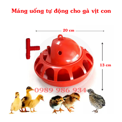Máng uống tự động cho gà vịt cao cấp ( loại máng úm từ 1 ngày tuổi đến 60 ngày tuổi)