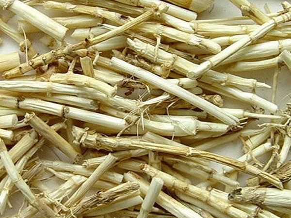 Rễ cỏ tranh khô thơm ngọt thanh nhiệt