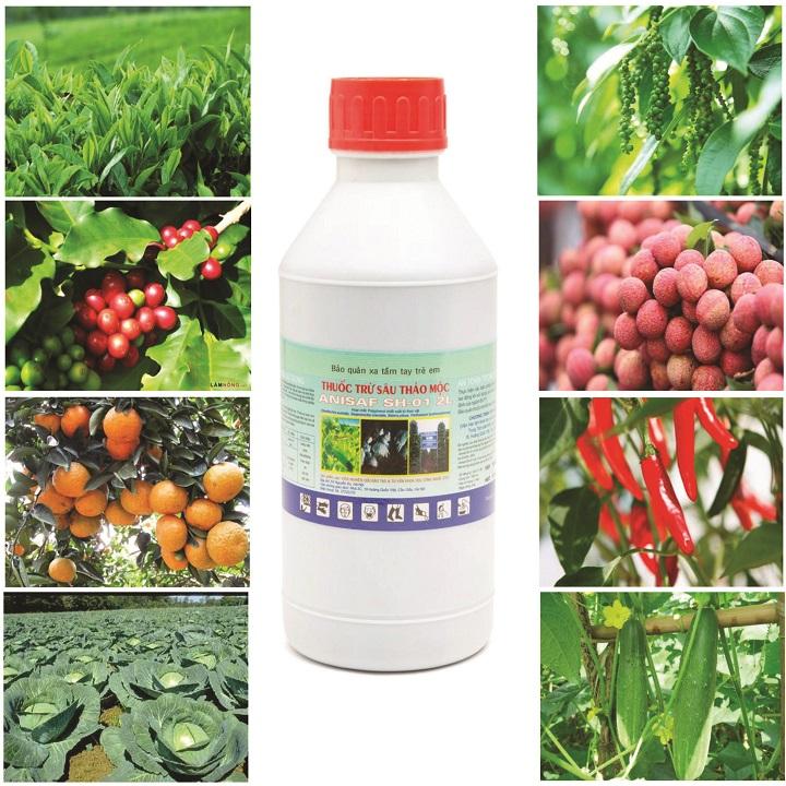 Thảo Mộc Trừ Sâu Anisaf SH01-2SL - An Toàn Hiệu Quả Trị Nấm, Thối Nhũn, Virus