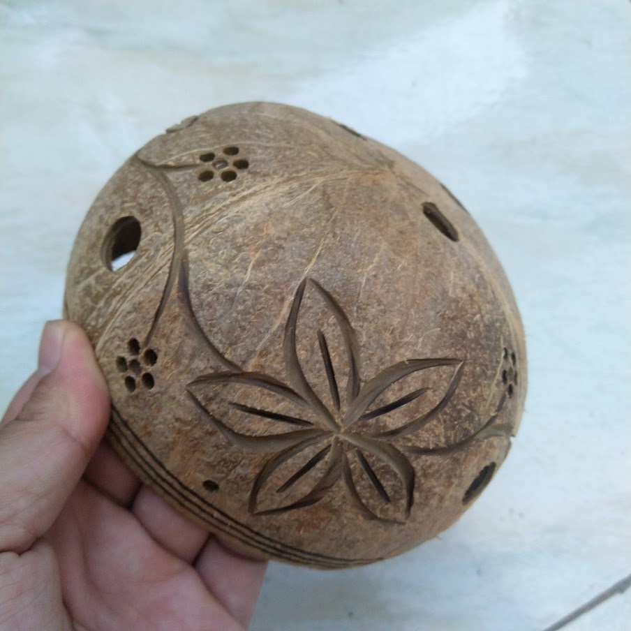 Gáo dừa chuyên trồng lan hoa kiểng chậu gáo dừa trồng cây xuất xứ Bến Tre