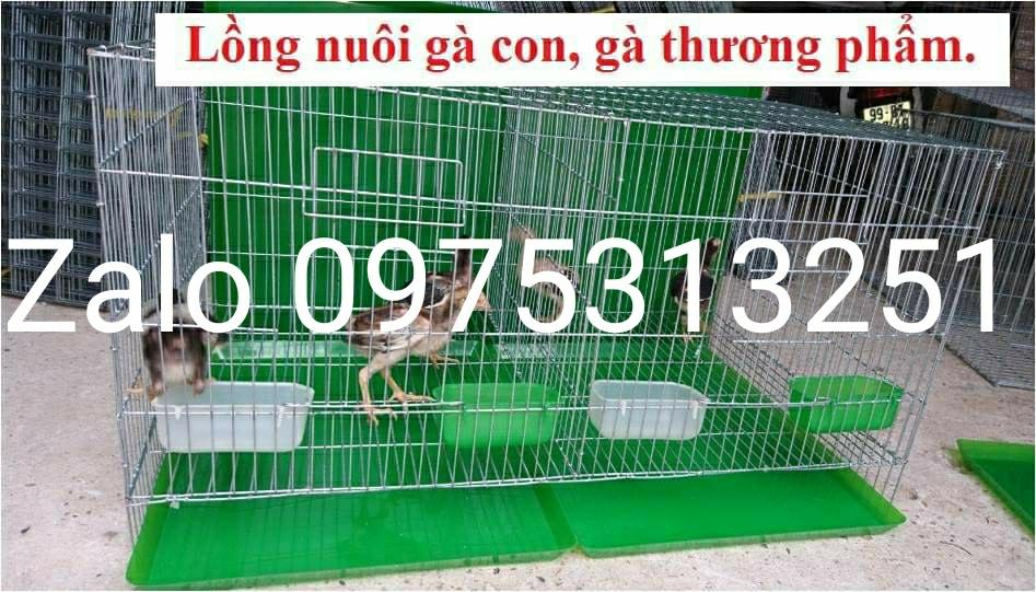 Lồng gà chim chó mèo thỏ hamster
