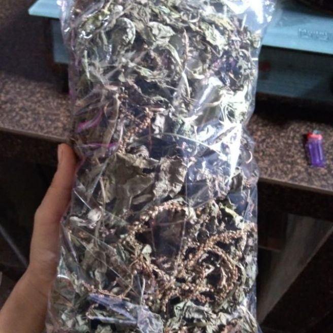 sỉ toàn quốc 1kg bông mã đề bông má đề