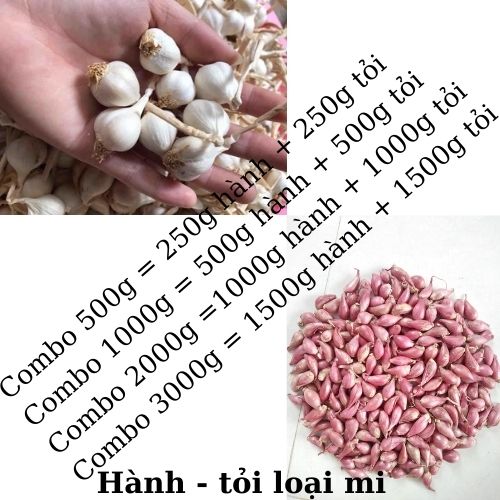 Hành tỏi Phan Rang củ rời, được phơi khô, không ẩm mốc, không nảy mẩm, bảo quản được lâu, an toàn vệ sinh thực phẩm