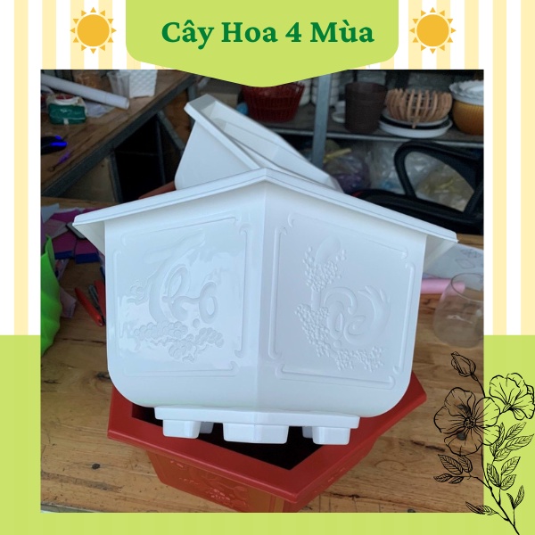 Combo 10 chậu nhựa bonsai trồng cây loại 1 hàng bt