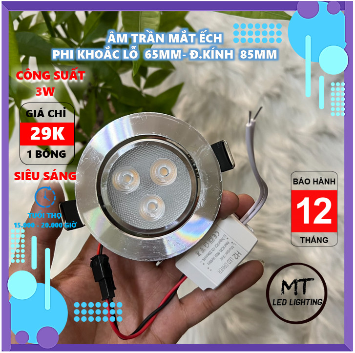 Đèn led âm trần 3w mắt ếch phi 65mm
