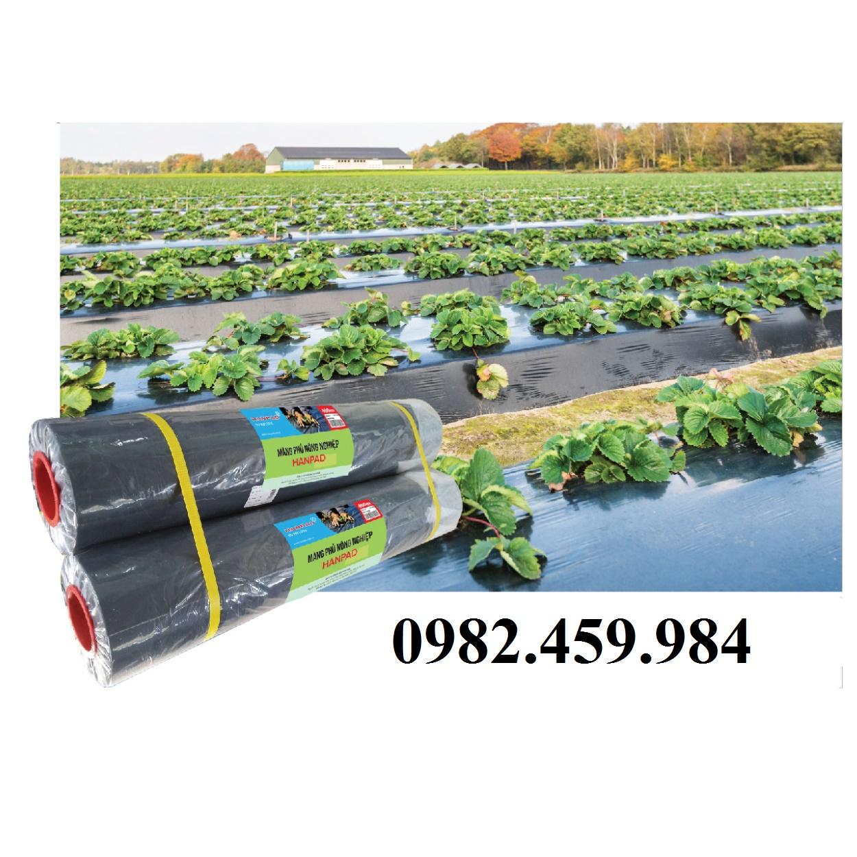 Màng Phủ Nông Nghiệp 0,7mX400mX25mic. Xuất xứ tại Việt Nam, Dễ Dàng Sử Dụng, Thân Thiện Môi Trường