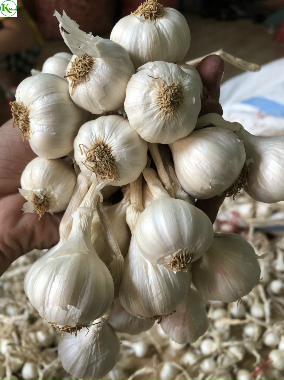 500gr tỏi lý sơn chính gốc củ chắc, thơm ngon