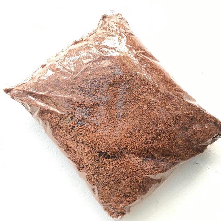 Mụn xơ dừa trồng cây gói 5dm