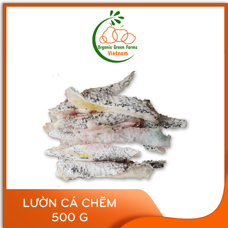 - lườn cá chẽm -