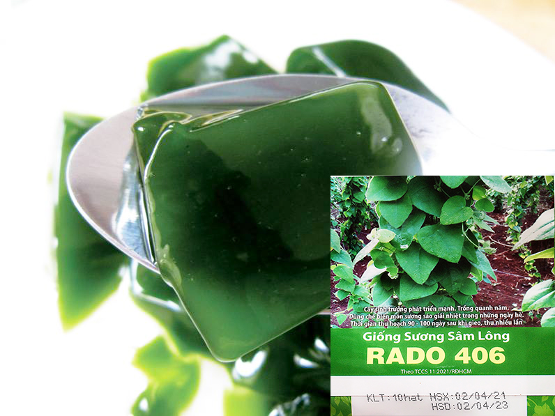 [HCM]hạt giống sương sâm lông giải nhiệt và có tính dược liệu tốt cho sức khỏe -gói 10 hạt và gói 100 hạt