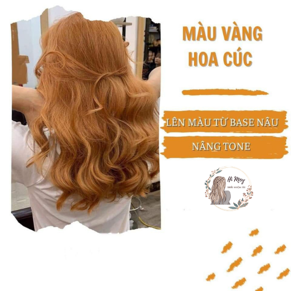 Thuốc nhuộm tóc vàng hoa cúc nhuộm tại nhà
