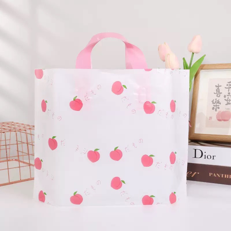 Túi quai ép pe in hình dễ thương đựng quà , hàng hóa nhiều size eve story