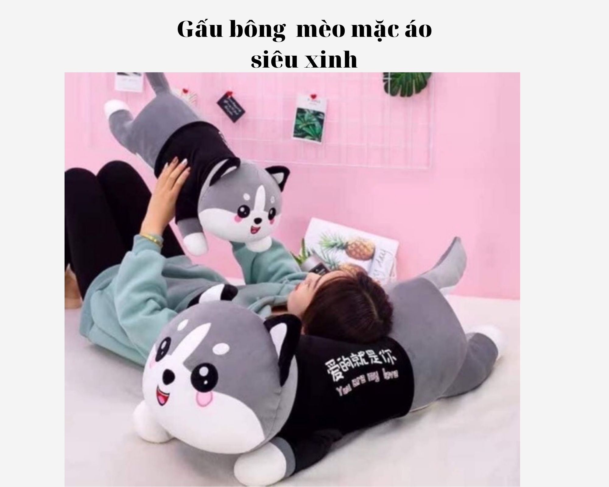 Gấu bông mèo mặc áo, gối ôm mèo Husky siêu to khổng lồ, gấu bông to ôm ngủ mèo bi má hồng siêu dễ thương