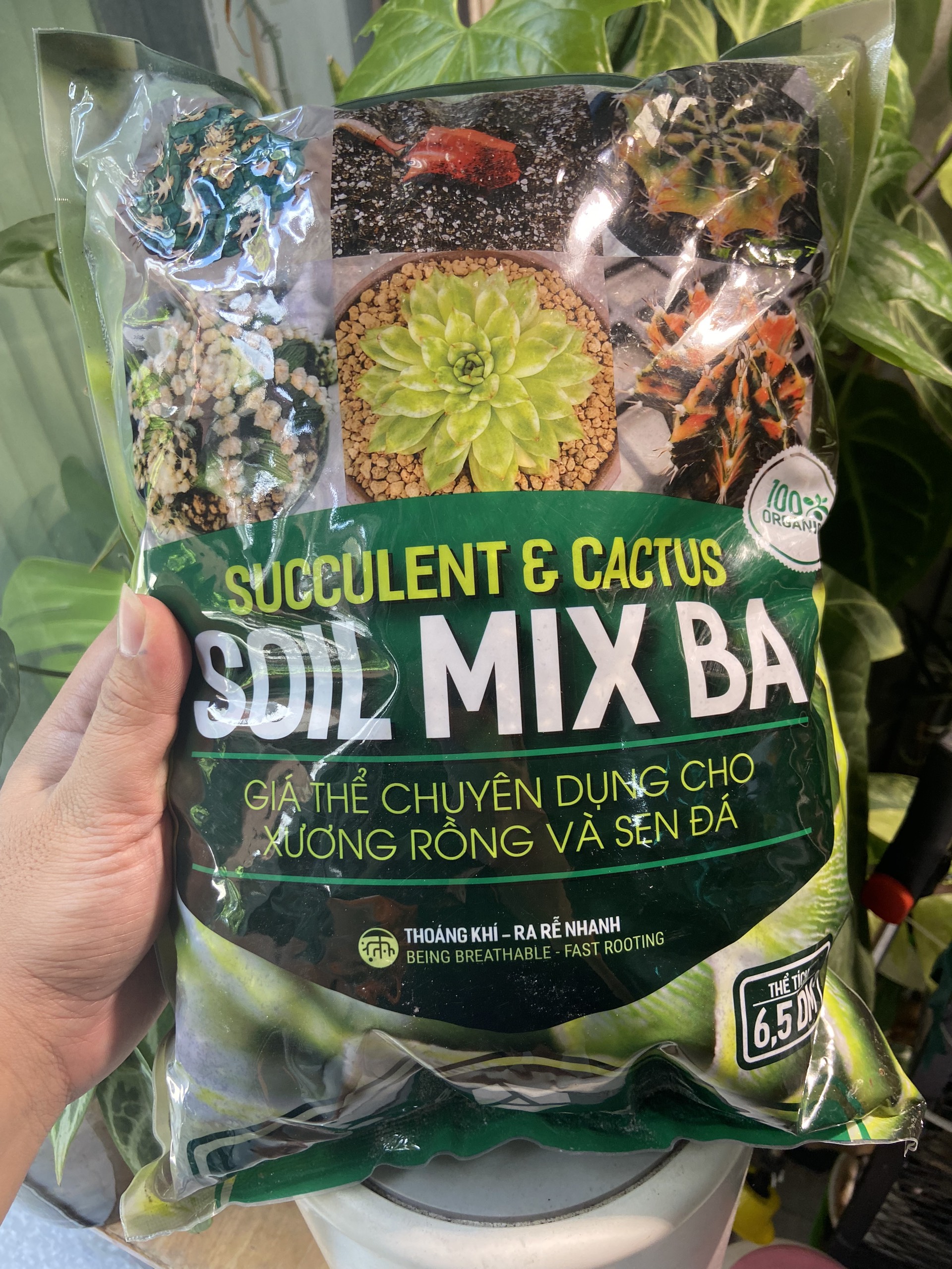 1 bao SOILMIX 2kg đất trồng sen đá , xương rồng , giá thể trộn sẵn trồng cây trong nhà !