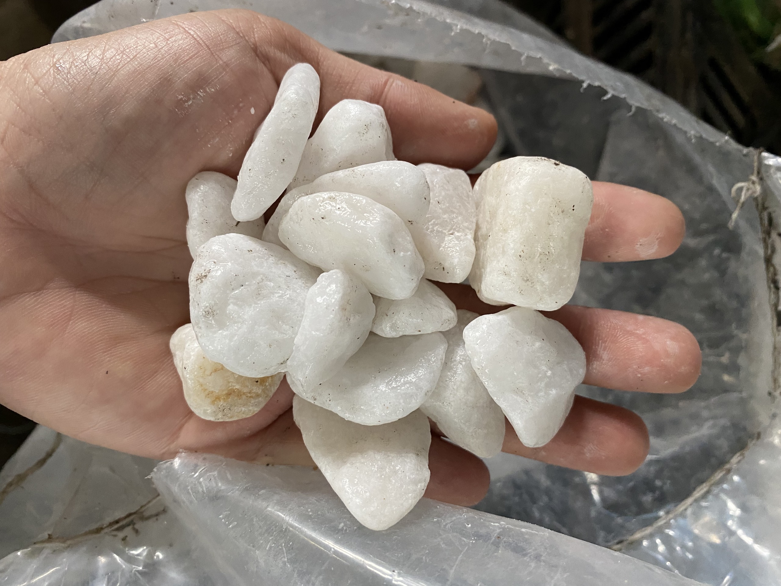 Đá sỏi trắng, dùng trang trí chậu cây hồ cá
