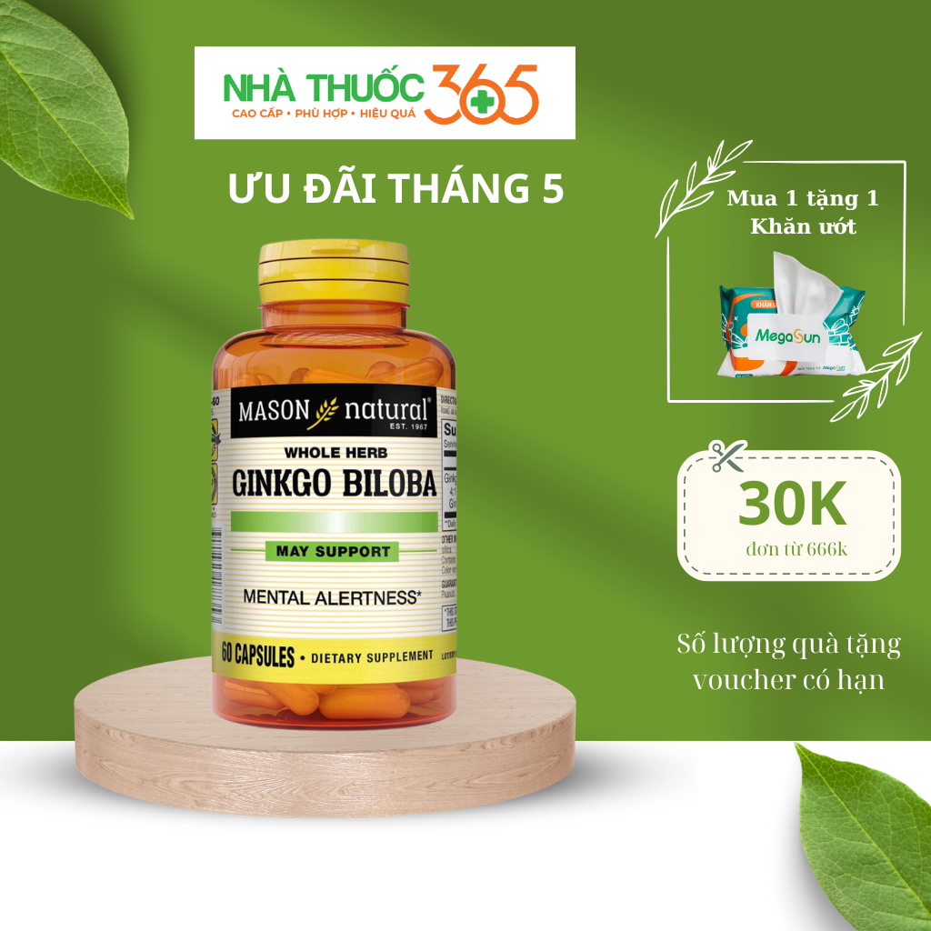 Viên uống mason natural ginkgo biloba hỗ trợ chức năng bộ não, hệ thần kinh 60 viên