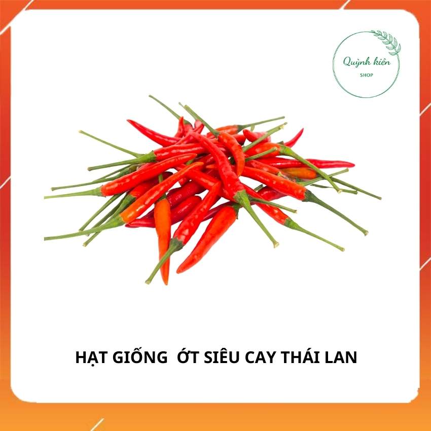 Hạt giống ớt siêu cay Thái Lan. Tỉ lệ nảy mầm cao, dễ trồng. Sinh trưởng mạnh, tán rộng, sai quả. Quả dài 4 – 6cm, đường kính 0,8cm; màu xanh, lúc chín màu đỏ tươi, rất cay, ít hạt, vỏ bóng đẹp.