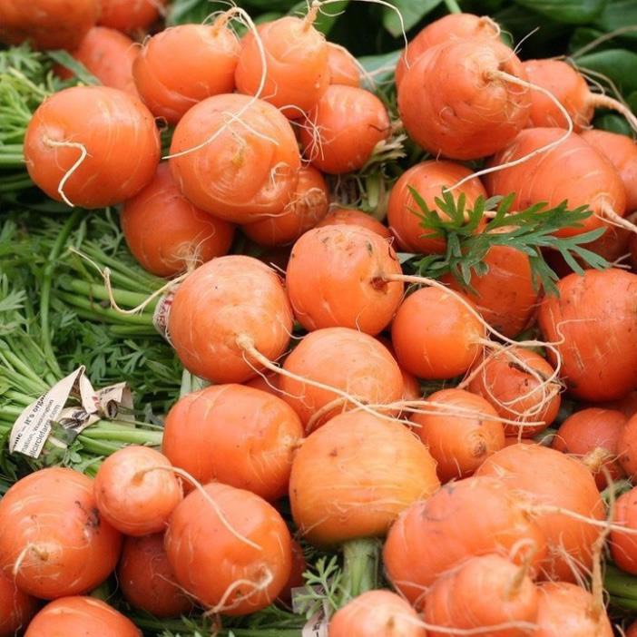 Hạt giống củ cà rốt tròn đỏ-gói 100 hạt
